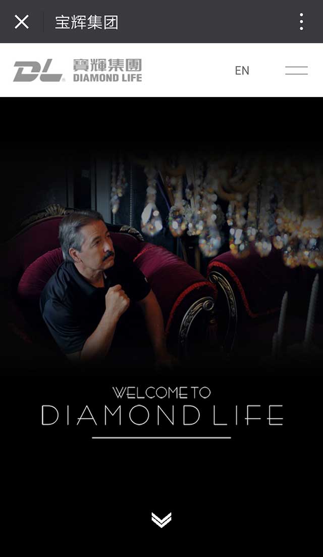 寶輝燈飾集團(tuán)